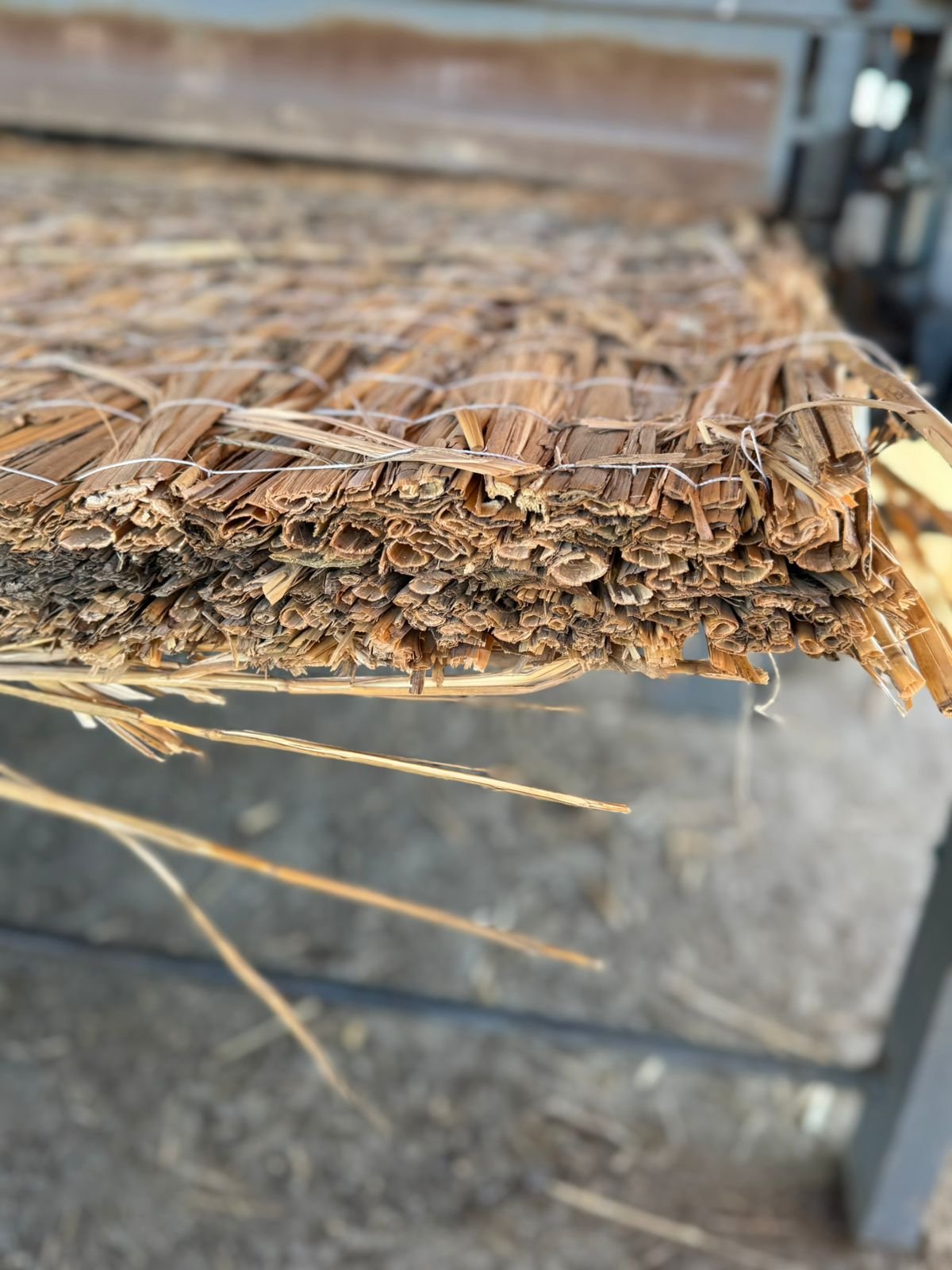 Reed mats for soil reinforcement and construction works